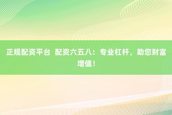 正规配资平台  配资六五八：专业杠杆，助您财富增值！