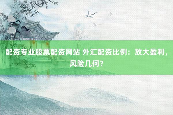 配资专业股票配资网站 外汇配资比例：放大盈利，风险几何？