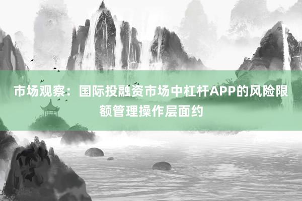 市场观察：国际投融资市场中杠杆APP的风险限额管理操作层面约