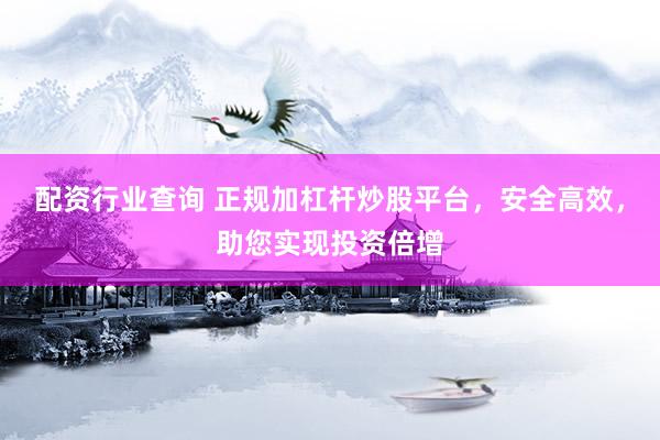 配资行业查询 正规加杠杆炒股平台，安全高效，助您实现投资倍增