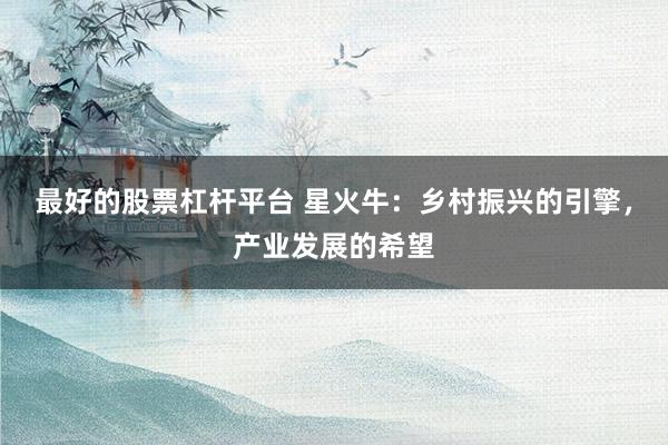 最好的股票杠杆平台 星火牛：乡村振兴的引擎，产业发展的希望