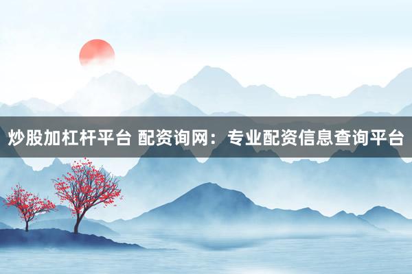 炒股加杠杆平台 配资询网：专业配资信息查询平台