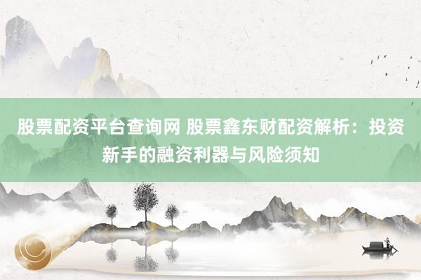 股票配资平台查询网 股票鑫东财配资解析：投资新手的融资利器与风险须知